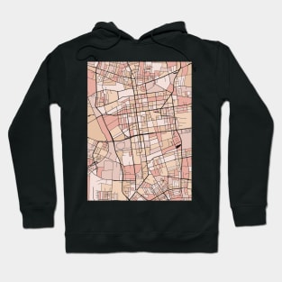 Lódz Map Pattern in Soft Pink Pastels Hoodie